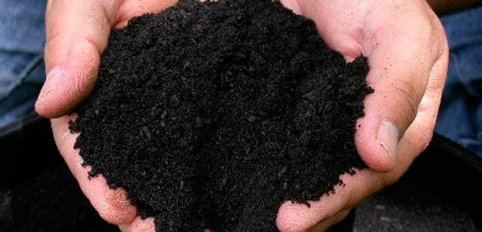 Чернозем характеризуется насыщенным черным цветом – как и перегной и низинный торф