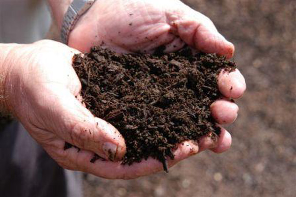 Торфо-земляная смесь добавляется к песчаным или супесчаным почвам
