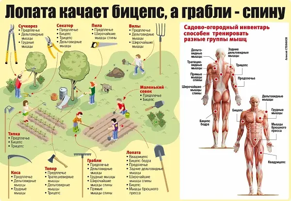 Готовим участок к весне: как выбрать грунт для озеленения?