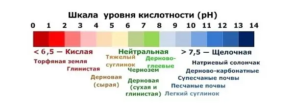 Как использовать торф для изменения кислотности почвы