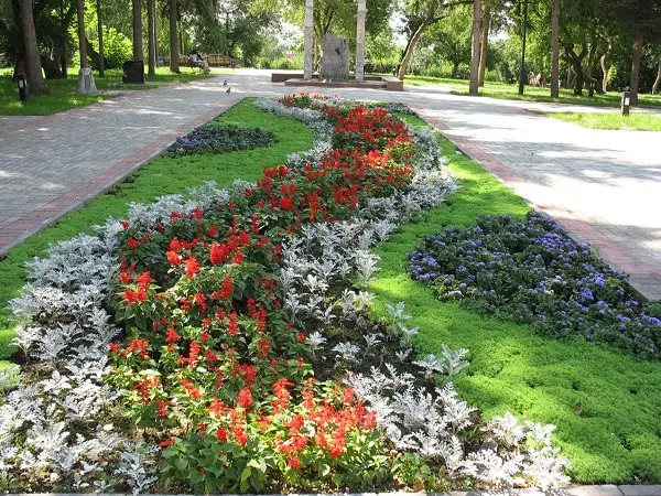 Озеленение в городе