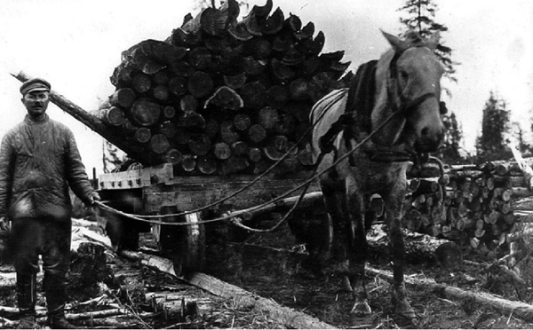 Перевозка древесины при строительстве Беломорканала (1931–1933 гг.)