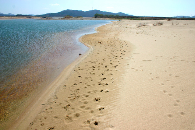 Добывать речной песок приходится со дна рек