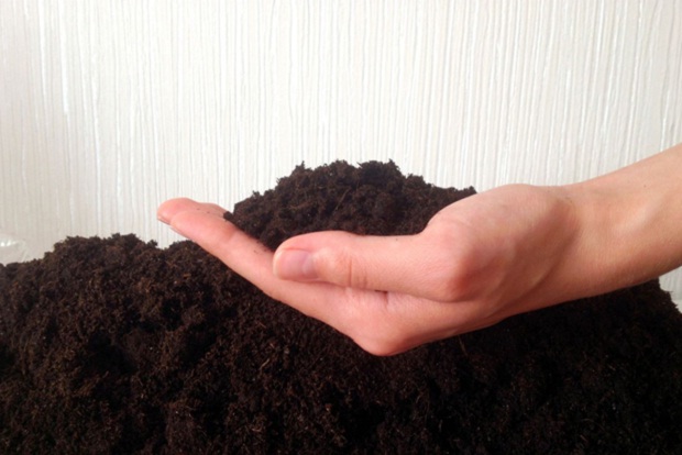 Фрезерованный почвогрунт –  прекрасная основа для садовых посадок