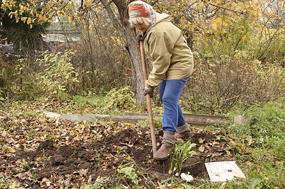 Подготовка земли к зиме – важный этап садово-огородных работ